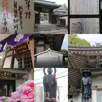 金乗院(目白不動尊)(東京都)