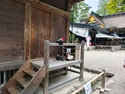 大崎八幡宮の{uncategorized: "未分類", other: "その他", undefined: "問題あり", building: "その他建物", grave: "お墓", sacred_gate: "鳥居", guardian: "狛犬", statue: "像", buddha: "仏像", history: "歴史", nature: "自然", garden: "庭園", animal: "動物", pagoda: "塔", temizu: "手水舎", mountain_gate: "山門・神門", sanctuary: "本殿・本堂", subordinate: "末社・摂社", art: "芸術", scenery: "景色", jizo: "地蔵", ema: "絵馬", goshuin: "御朱印", omikuji: "おみくじ", items: "授与品その他", amulet: "お守り", goshuincho: "御朱印帳", eats: "食事", festival: "お祭り", votive_dance: "神楽", shichigosan: "七五三参", wedding: "結婚式", experience: "体験その他", initially: "初詣", around: "周辺", anti_infection: "感染症対策"}