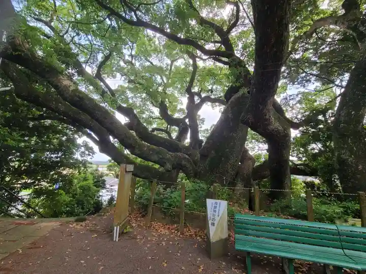 海童神社(佐賀県)