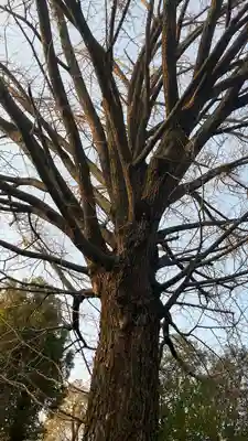 田無神社(東京都)