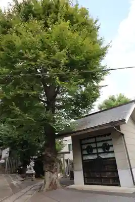 滝野川八幡神社(東京都)
