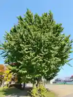厚別神社(北海道)
