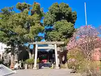 小村井 香取神社(東京都)