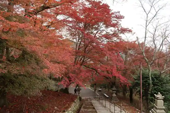 園城寺(三井寺)(滋賀県)