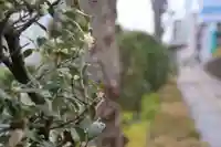 愛宕神社の周辺