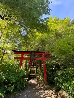 九頭龍神社新宮(神奈川県)
