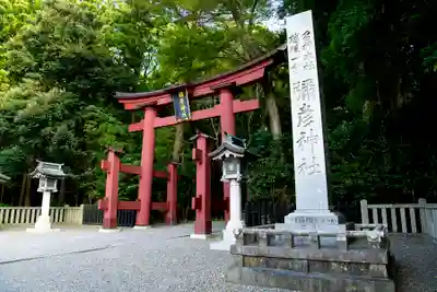 彌彦神社(新潟県)