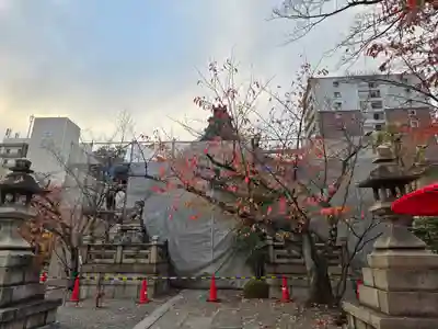天孫神社(滋賀県)