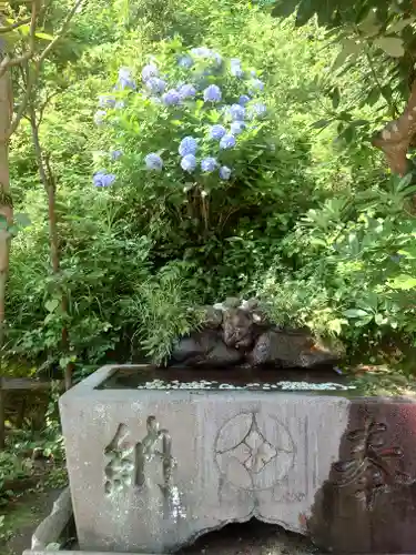 江島神社の手水舎