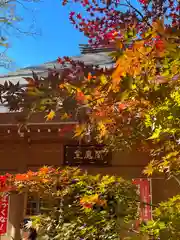 淨眞寺(東京都)