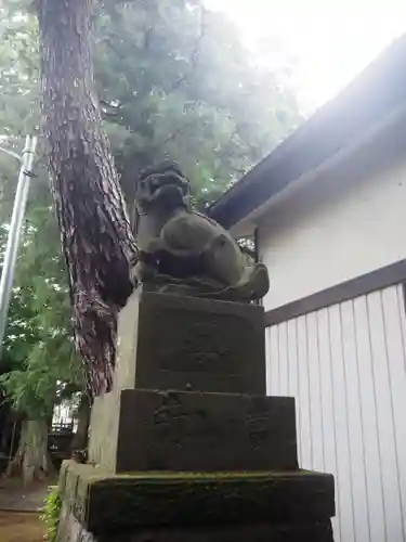 神山氷川神社の狛犬