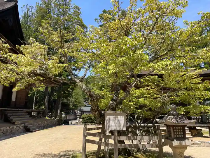 壇上伽藍(和歌山県)