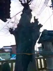 愛宕神社(茨城県)