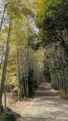 稲荷神社(灰方鎮座)(京都府)