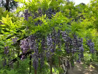 春日大社(奈良県)