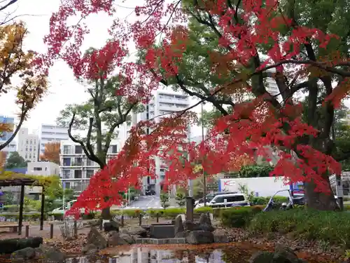 増上寺塔頭 三縁山 宝珠院の庭園