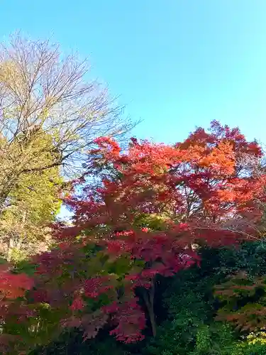 吸湖山　青岸寺(滋賀県)