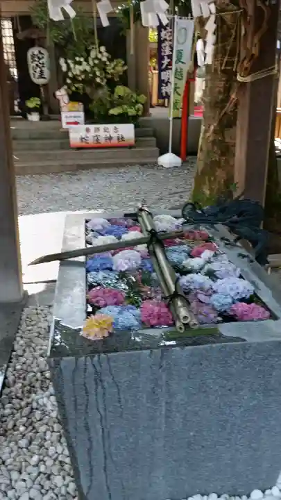 蛇窪神社(東京都)