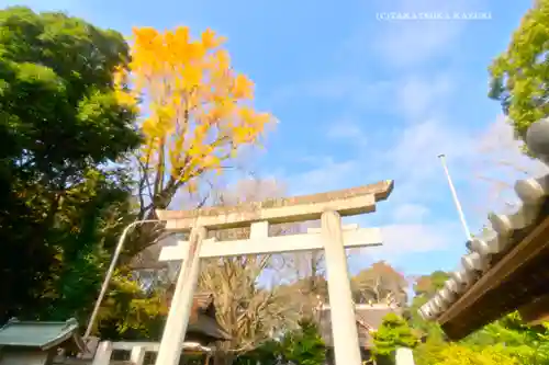 玉敷神社(埼玉県)
