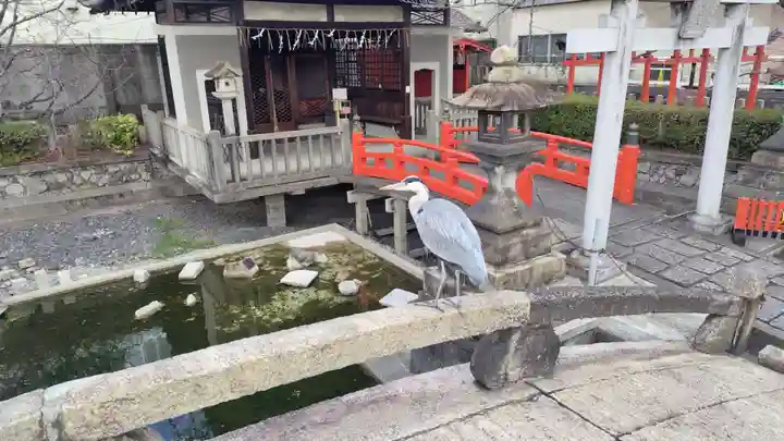 六孫王神社(京都府)