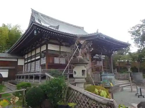 妙蓮寺の本殿・本堂