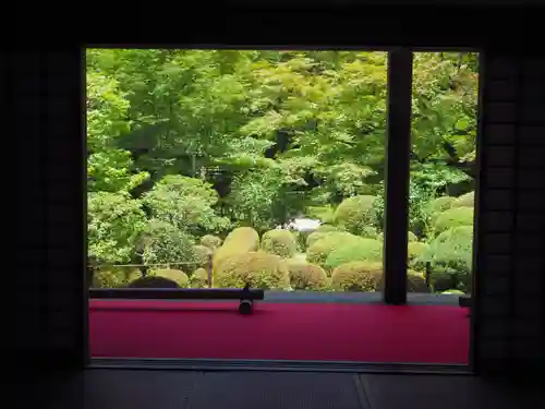 金剛輪寺の庭園