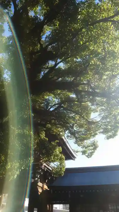 真清田神社の山門・神門