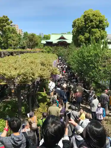 亀戸天神社の庭園