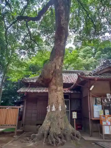 氷川女體神社の自然