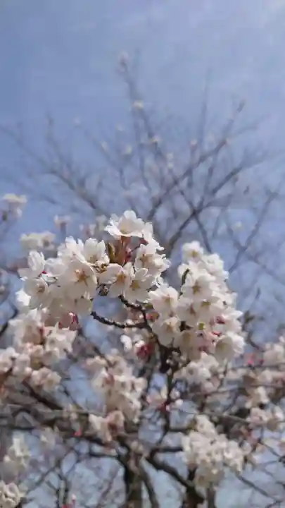相馬神社(北海道)