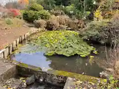 観音寺の庭園