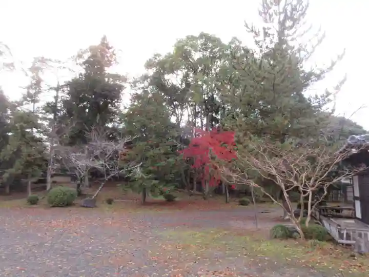 大覚寺(京都府)