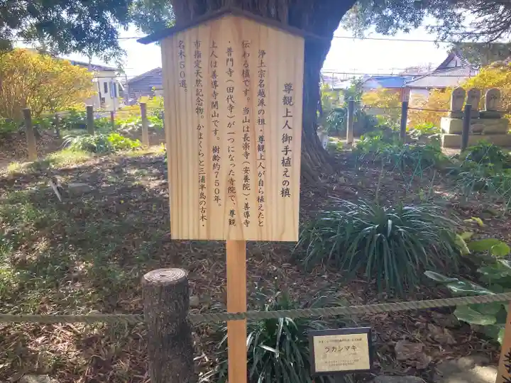 安養院 (田代寺)(神奈川県)