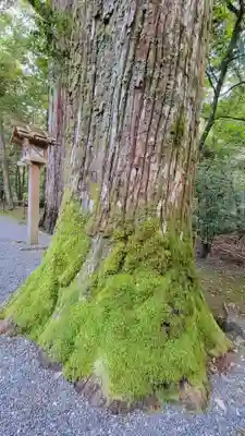 瀧原宮(皇大神宮別宮)(三重県)