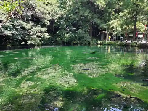 涌釜神社(栃木県)