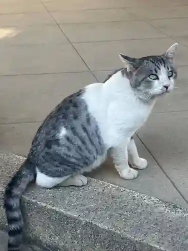 八幡神社(福井県)