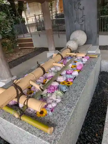 東郷神社(東京都)