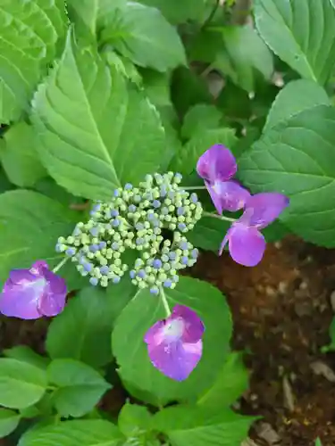 厚別神社(北海道)