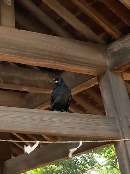 富士浅間神社(群馬県)