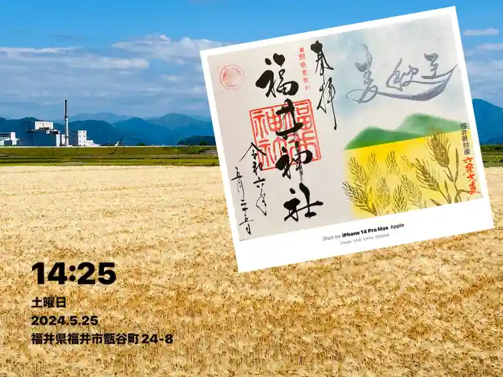 福井神社(福井県)