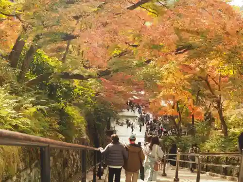 清水寺(京都府)