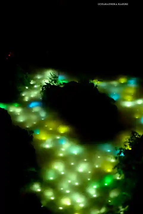 川越氷川神社(埼玉県)