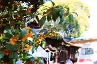 三津厳島神社(愛媛県)