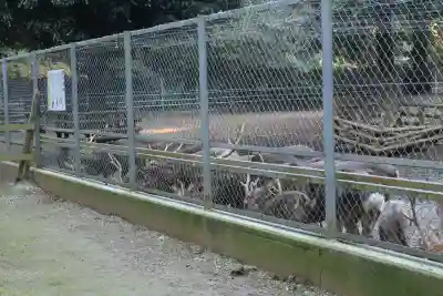 鹿島神宮(茨城県)