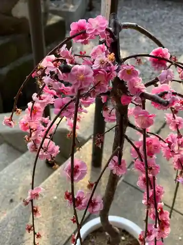 牛天神北野神社の自然