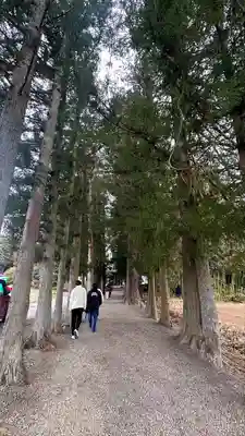 黒沼神社(福島県)