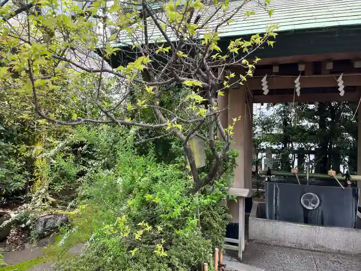 芝大神宮の手水舎