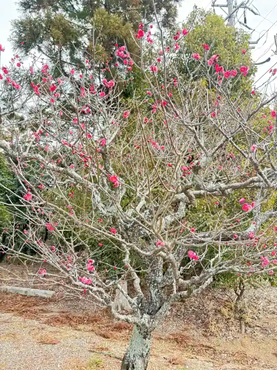 菅原神社の{uncategorized: "未分類", other: "その他", undefined: "問題あり", building: "その他建物", grave: "お墓", sacred_gate: "鳥居", guardian: "狛犬", statue: "像", buddha: "仏像", history: "歴史", nature: "自然", garden: "庭園", animal: "動物", pagoda: "塔", temizu: "手水舎", mountain_gate: "山門・神門", sanctuary: "本殿・本堂", subordinate: "末社・摂社", art: "芸術", scenery: "景色", jizo: "地蔵", ema: "絵馬", goshuin: "御朱印", omikuji: "おみくじ", items: "授与品その他", amulet: "お守り", goshuincho: "御朱印帳", eats: "食事", festival: "お祭り", votive_dance: "神楽", shichigosan: "七五三参", wedding: "結婚式", experience: "体験その他", initially: "初詣", around: "周辺", anti_infection: "感染症対策"}