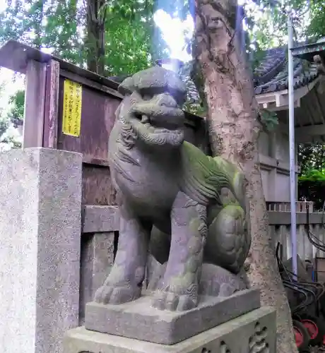 駒込天祖神社の狛犬