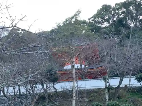 金剛宝寺（紀三井寺）の塔